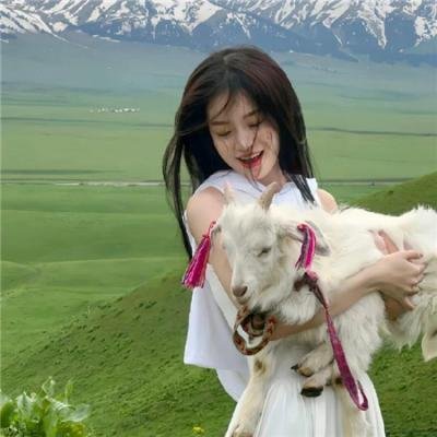 绍尔和绍尔绍尔