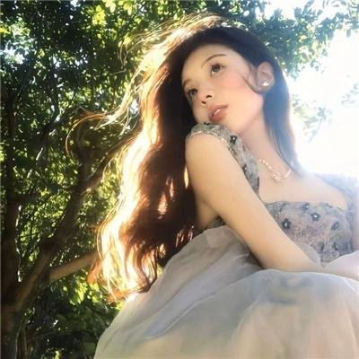与鲨同泳